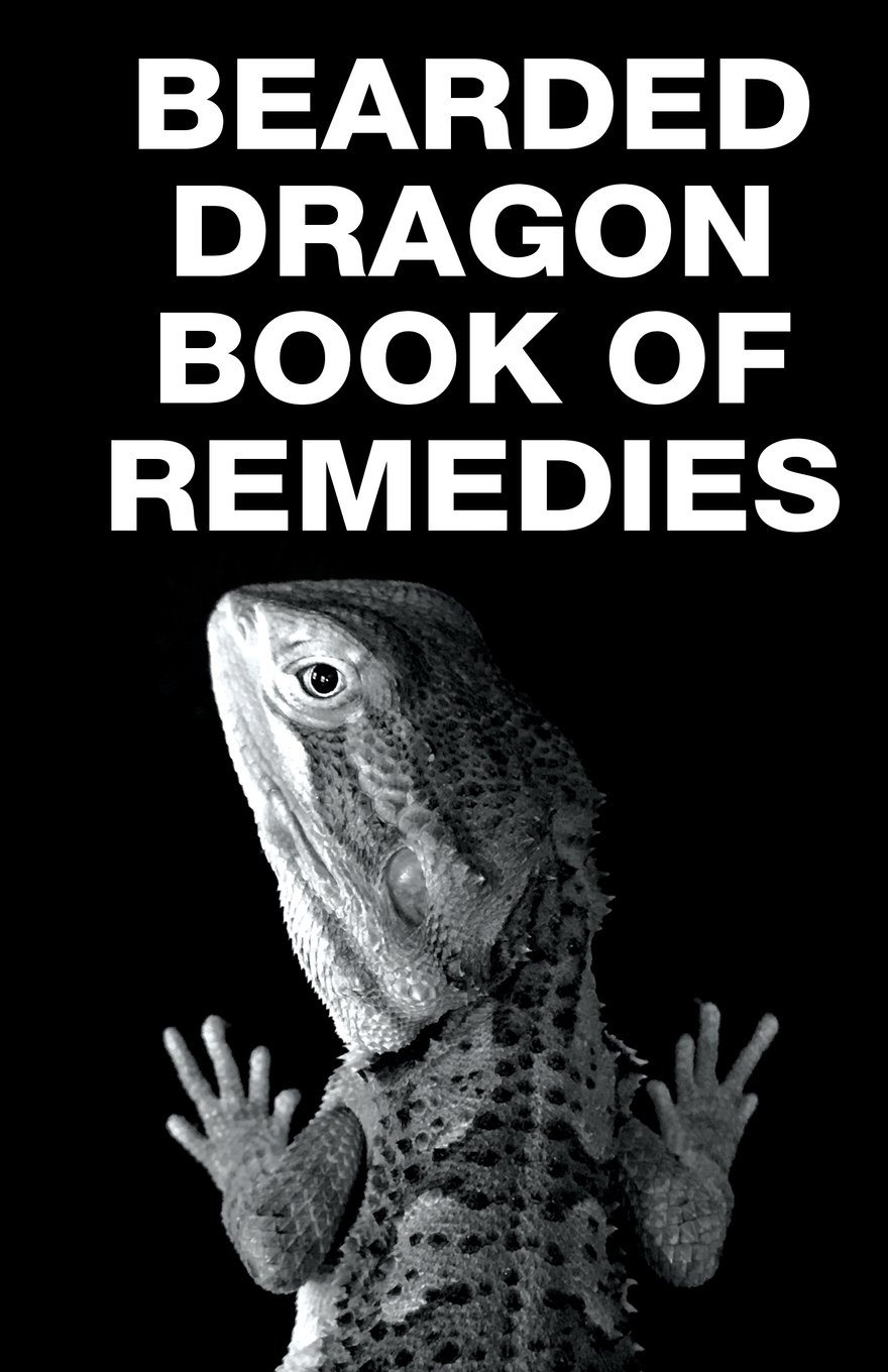 Bearded Dragon Book of Remedies (Raising Bearded Dragons): S M Proctor,  Kelsey Marie: 9781635875041: Amazon.com: Books
