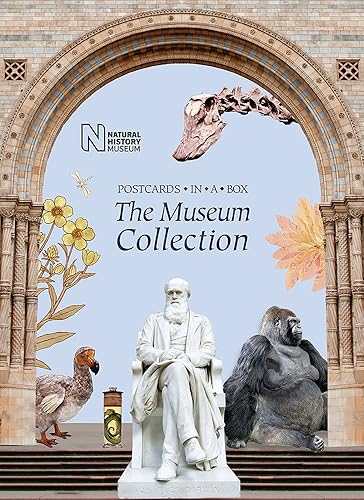 Download The Museum Collection: Postcards in a Box PDF