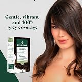 Herbatint Hair Dye 4N Chestnut Permanent Herbal Color Gel view 5