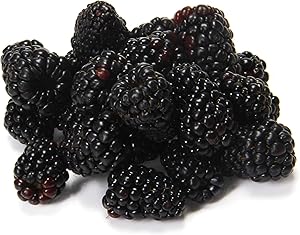 Organic Blackberries, 6 oz