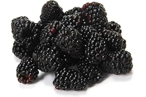 FRESH PRODUCE (BRANDS MAY VARY) Organic Blackberries, 6 oz
