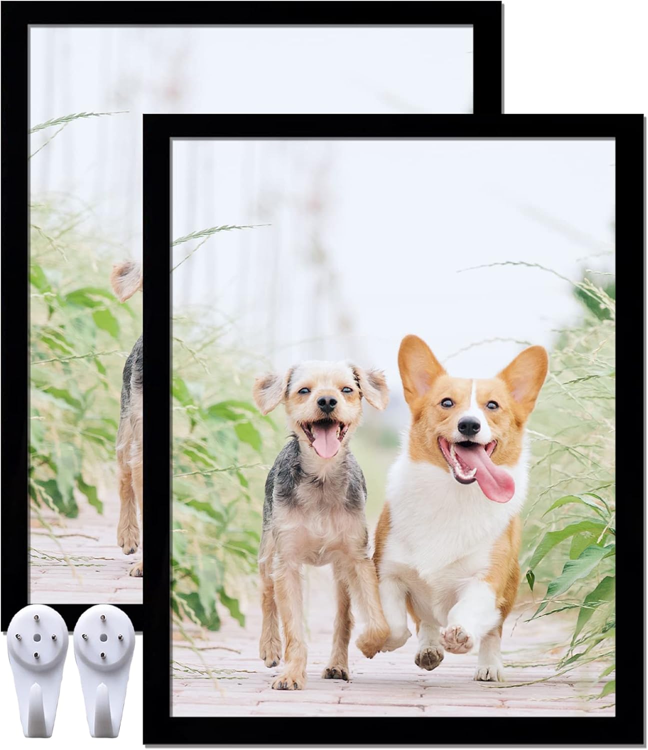 Photo Albums, Frames & Accessories - icariery Black 11x14 Picture Frame Set of 2, High Transparent Picture Frames for 11 x 14 Canvas Collage Photo Poster Certificate Wall Gallery Horizontal Vertical 11 By 14