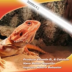 Hypool 2-Pack UVB Reptile Light 10.0 Bulb 15W