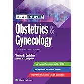 Blueprints Obstetrics &amp; Gynecology (Blueprints Series)
