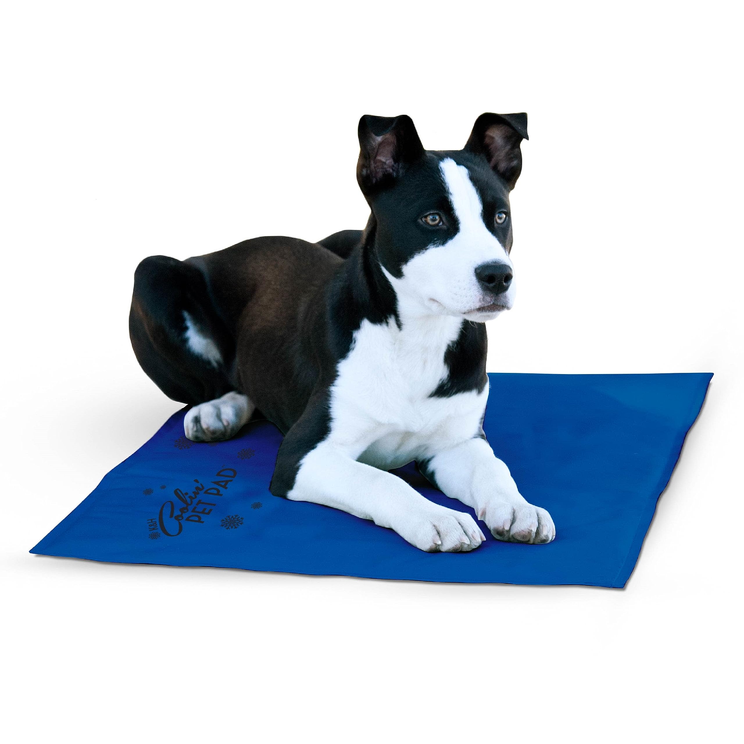 Photo 1 of K&H Pet Products Coolin' Pet Pad Dog Mat, Portable Dog Cooling Mat for Travel or in Home, Perfect for Carriers, Crates, Outdoor Houses, Yards, Porches, Pet Beds & More - Large 36 X 20in Chill Blue