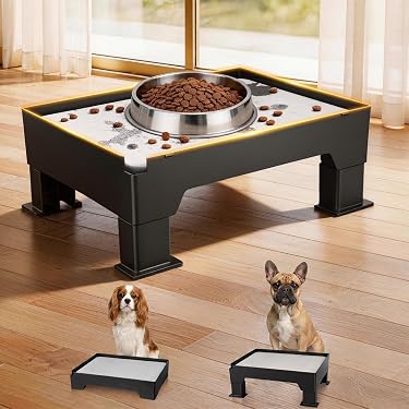 Amazon.com New Releases: The best-selling new & future releases in Dog  Raised Bowls