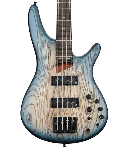 Amazon.com: Ibanez Bass Workshop SRC6MS 6-string Multi-Scale