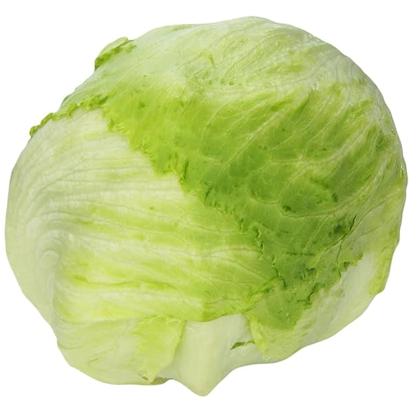Iceberg Lettuce, 1 ct