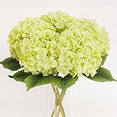 5Pcs Green Artificial Hydrangea Flowers, Slik Hydrangea with Lifelike Leaves Stems, 20Inch Large Hydrangea Flower, Faux Hydrangeas Decorations for Indoor Wedding Table Centerpieces Vase Bouquet Party