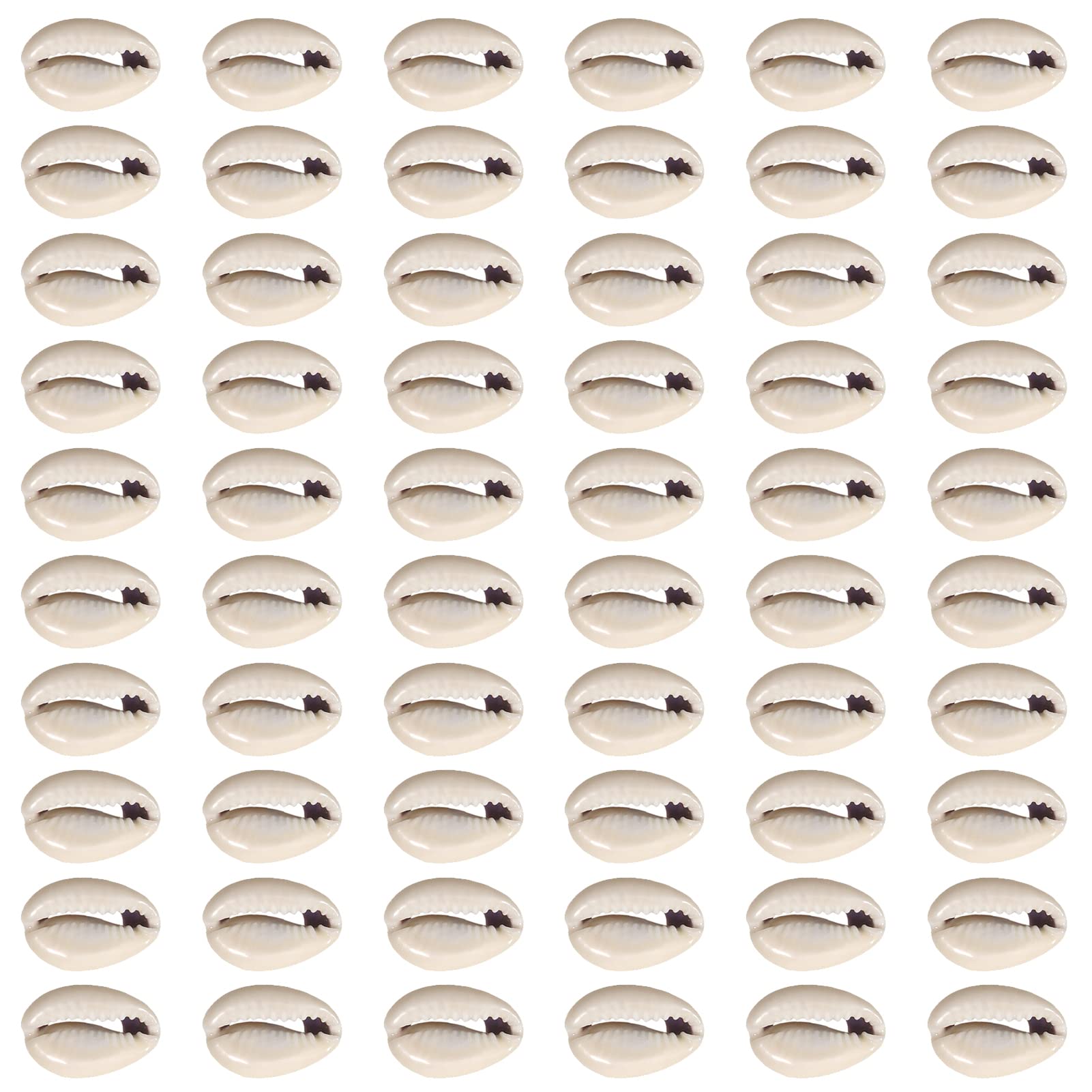 TOAOB Pack of 200 Natural Shell Beads 15 to 19 mm Seashells Kauri for DIY Jewellery Making Deco Crafts Grey
