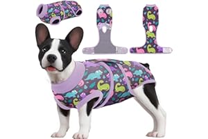 PetWarm Dog Surgical Suit Female Spay, Onesie for Dogs After Surgery, Substitute E-Collar and Cone, Pet Surgery Recovery Suit, Anti-Licking Dog Surgery Recovery Suit Soft, Dinosaur Pattern, Purple, M