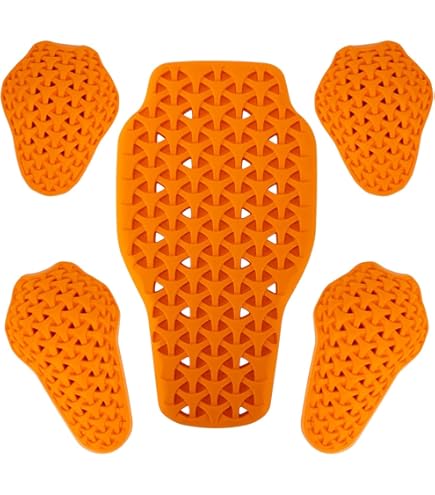 Protection Dorsale Moto BORLENI - Niveau 1 CE, Orange, Taille 42x23cm, Amovible