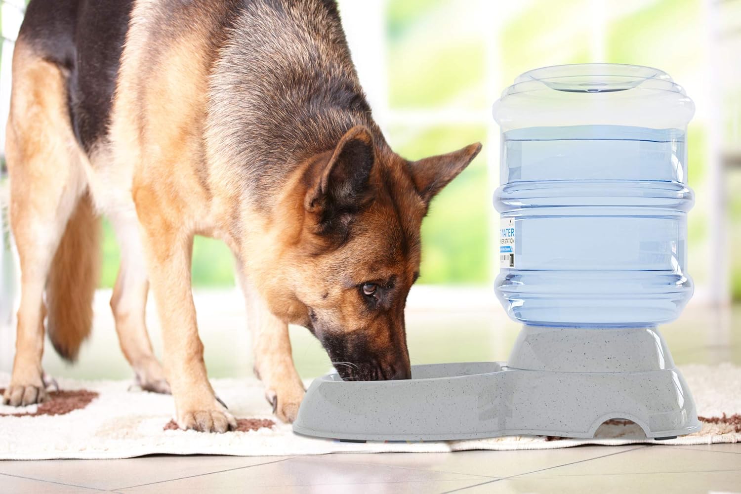 Kitchen & Dining : Automatic Replenish Pet Waterer - Gravity Pet Water Dispenser Station for Dogs, Cats or Small Pets - 1 Gallon : 