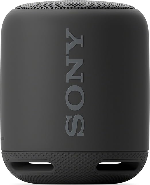 sony srs xb10 dual