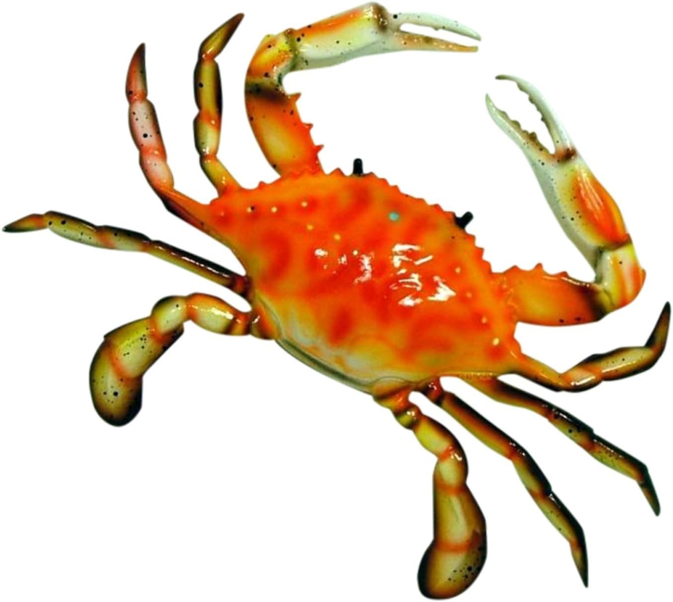 Home Decor Coastal Maryland 10 Inch Steamed Red Crab Beach Bath Hall Or Nursery Wall Home Garden