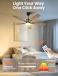 Hisummer 42 Inch Farmhouse Ceiling Fan with