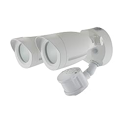 Satco 65/711 Dual Bullet-Head Security Flood