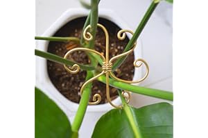 YOHSNOR 5PCS Monstera Plant Support System 4.1IN - Durable Hook Stem Supports for Healthy Growth, Stabilizer for Leaves and Turtle Shells, Easy-to-Use Indoor Plant Care, Ideal Present for Plant Lovers