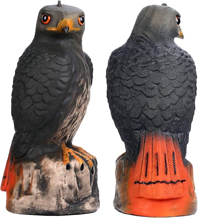 Frofine Realistic Falcon Decoy Bird Deterrent, Garden Outdoors Eagle