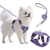 Ychpaw Small Dog Harness and Leash Set, Adjustable Small Sized Pet Vest | Reflective Soft Breathable Mesh, 3 Buckles, Adjustable Neck and Chest, Easy on and Comfortable Secure Walking, Purple, S