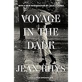 Voyage in the Dark: A Novel
