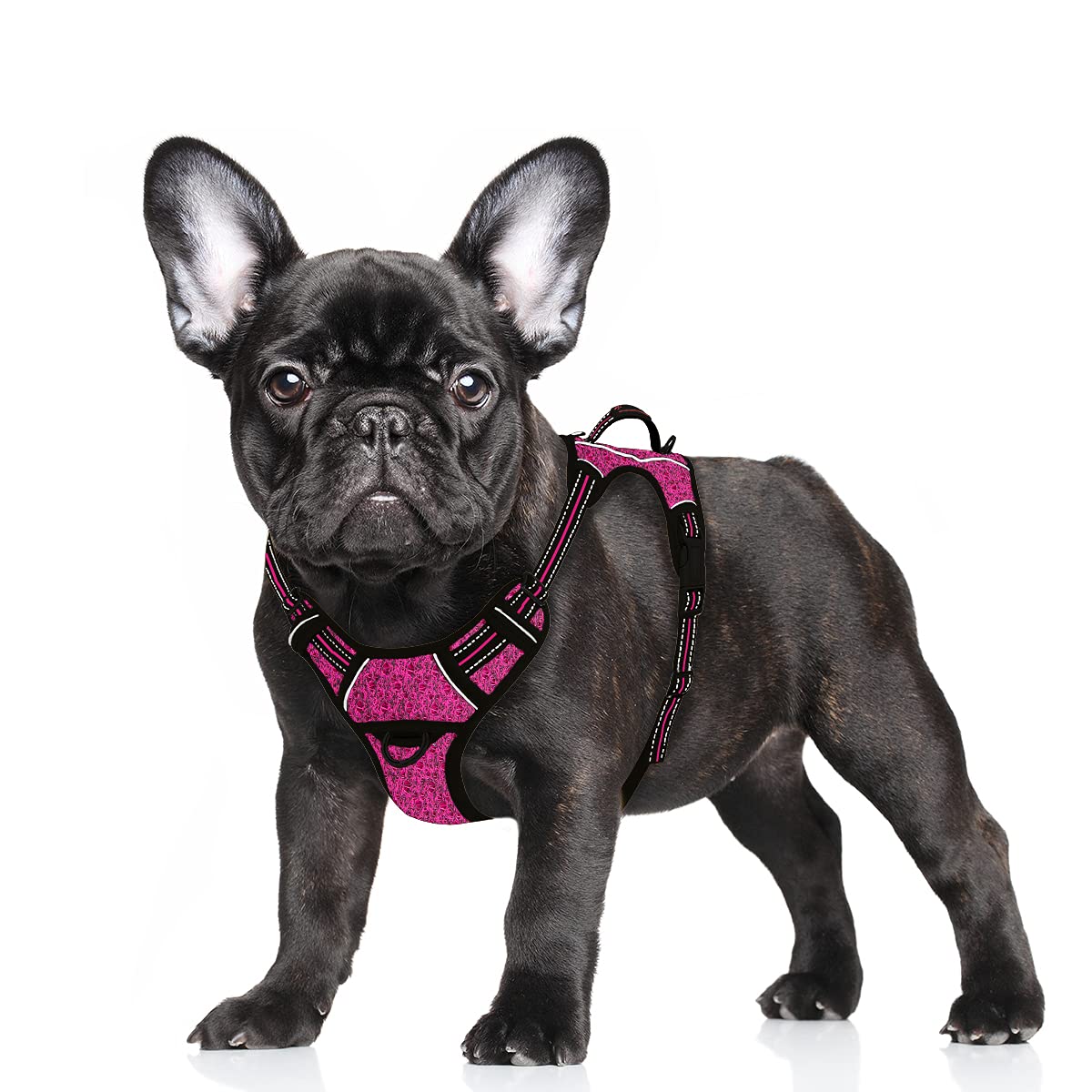 Photo 1 of BARKBAY No Pull Dog Harness Large Reflective Dog Harness with Front Clip and Easy Control Handle for Walking Training Running with ID tag Pocket(Pink/Black,S)