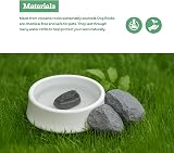 Dog Rocks Urine Patch Preventer 600g Bulk Bag Clear by Dog Rocks view 4