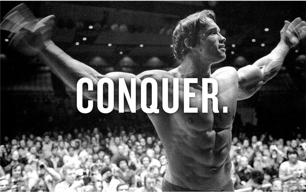 HerculesPoster Arnold Schwarzenegger Poster On Silk <96cm x 60cm, 38inch x 24inch> - FFCC79