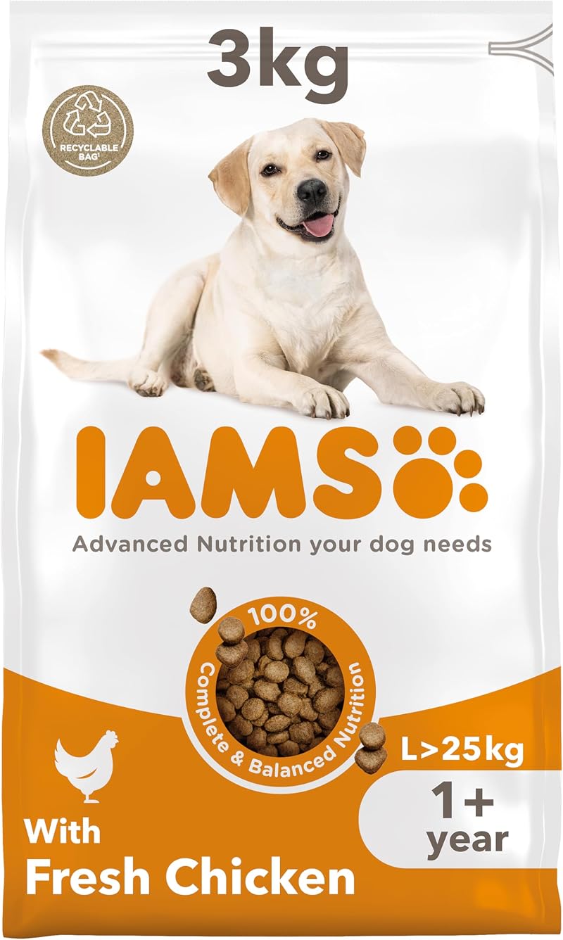IAMS Adult Large Dry Dog Food Chicken 3kg DentalCare System Wheat Free