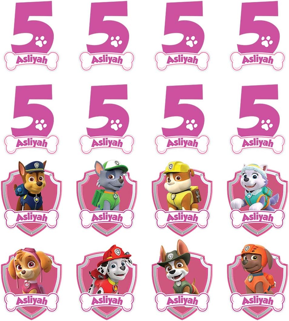 Set of 16 Personalized Paw Patrol Theme Cup Cake Toppers for Birthday Party Favor Skye Chase Marshell Rocky (Pink)