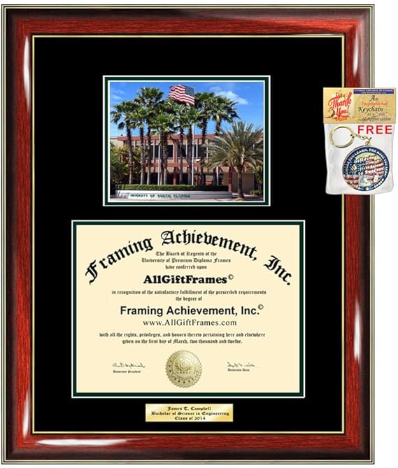 Diploma Frame USF University of South Florida Graduation