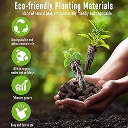 apoloseedic Salad Greens Seed Pod Kit for