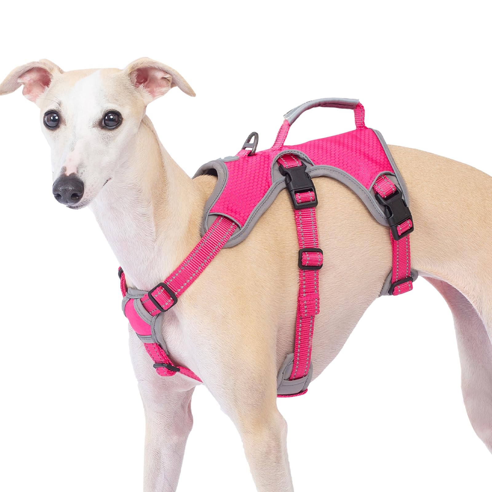 Huntboo Escape Proof Dog Harness - Reflective With Handle, Adjustable, Breathable Vest for Small Medium Large Dogs - Walking, Training, Running Gear (Rose Red, L)