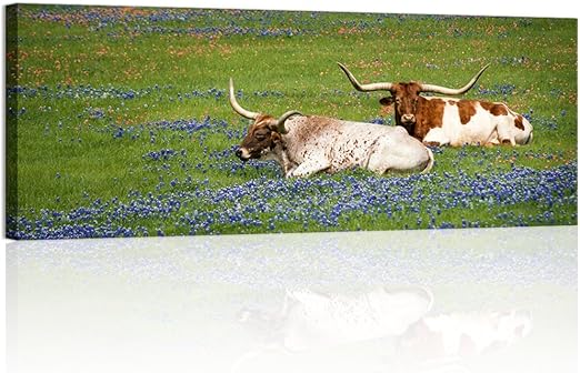 Amazon Com Welmeco Farm Large Pictures Wall Decoration Texas