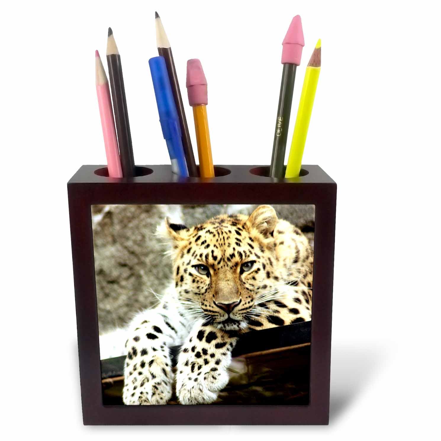 3dRose Leopard Popular Image Best Seller - Tile Pen Holder, 5-Inch (Ph_218720_1)