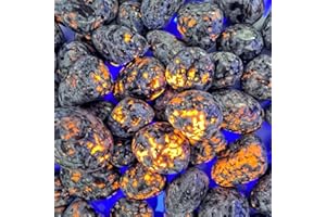 UCCKEYI 10PCS Natural Tumbled Stone UV Reactive Sodalite Gemstone Home Decor Stone Ornament, Fish Yank, Stone Potted Plant Decoration