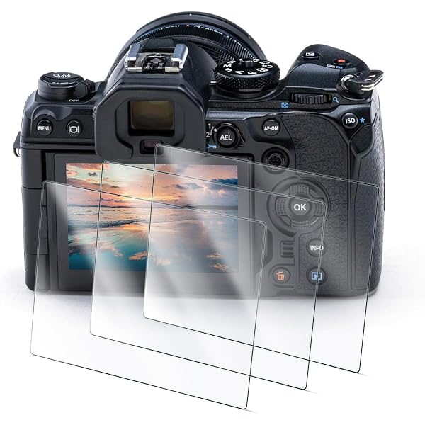 The Complete Guide to the OM System OM-1 Mark II (Color Edition