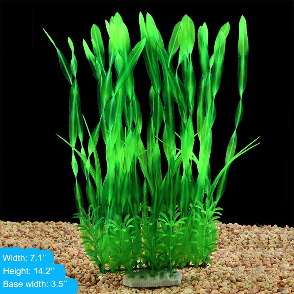 18cm 40cm inch Wide inch Tall 7.09 Large Aquarium Plants