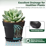 T4U 10cm Plastic Plant Pots 6-Pack with Saucers—Drainage Hole Indoor Outdoor view 4