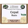 Bless International Premium Grade A Indian White Copal Resin Dammar 100% Pure Natural Organic Blanco Tree Sap Gum Incense Sacred Aroma for Meditation Cleansing Wellness 1Lb-453.6-Grams-16-Ounce