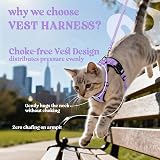 rabbitgoo Cat Harness and Lead Set XS Adjustable Escape Proof Purple view 3