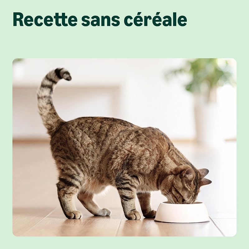 Grainfree Recipe Nourriture sèche pour Chat (stérilisée/légère) avec Poulet Frais 3 kg