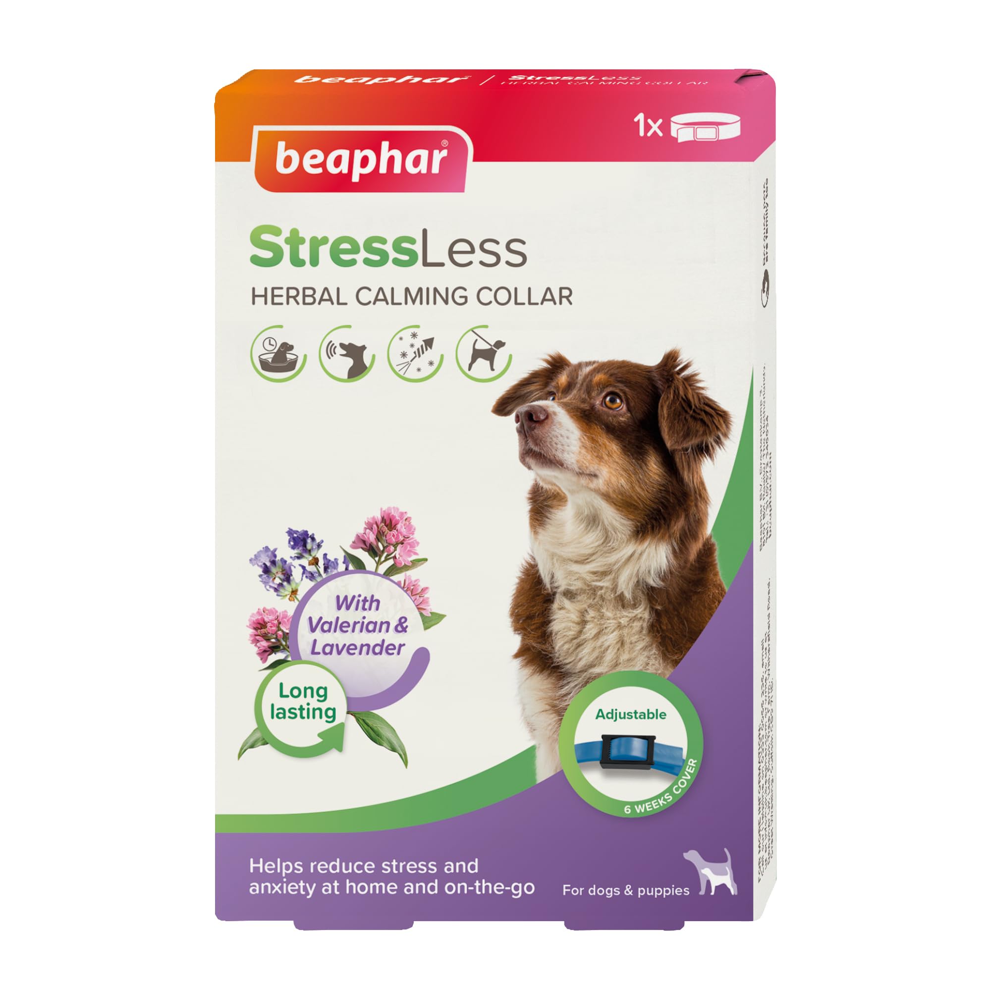 Beaphar – StressLess Herbal Calming Collar for Dogs – Reduces Stress & Anxiety at Home and On-the-Go – With Valerian & Lavender – 6 Weeks Long-Lasting Support – 1x Adjustable Collar (65cm)