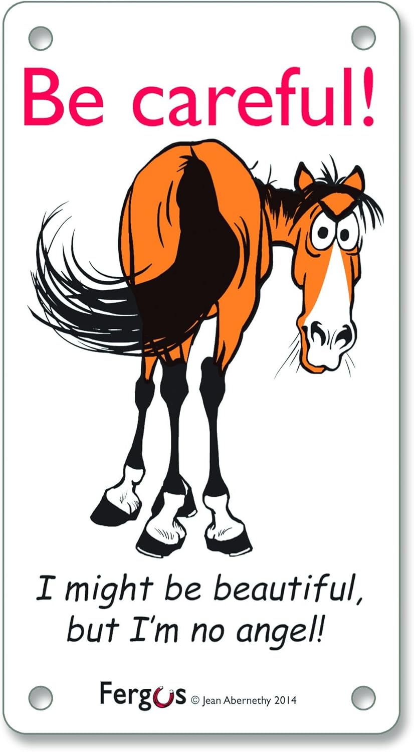 Amazon Com Be Careful Im No Angel Stall Front Fergus Barn