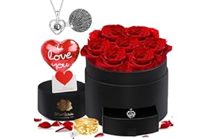 N&T NIETING Forever Flowers - Preserved Roses with Necklace, Eternal Rose Preserved Flowers Gifts for Her, Wife, Mothers Day Mom Gifts Valentines Day Gift for Women(Red)