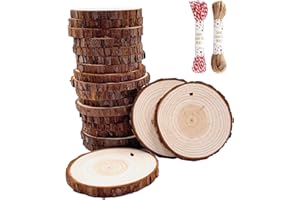WILLIAM CRAFT Unfinished Natural Wood Slices 20 Pcs 3.5-4 Inch Wood Coaster Sets Pieces Craft Wood kit Predrilled with Hole Wooden Circles Great for Arts and Crafts Christmas Ornaments DIY Crafts Rustic Wedding