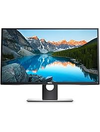 DELL Professional 23.8-inch Screen LED-Lit Monitor (P2417H)