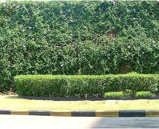 GFYWZ Bordes de césped Plástico Verde Flexible Jardín de PVC ...