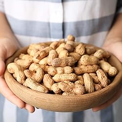THE AMISH ECO-FARM | Fancy Size | Bulk Raw Peanuts