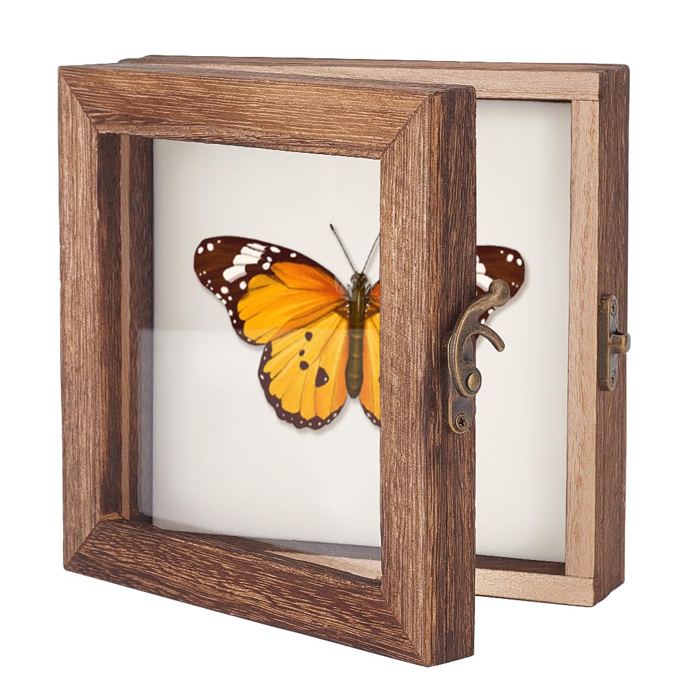 AHANDMAKER Insect Display Case Shadow Box for Insect Display with Clear Top Insect Specimen Storage Box Wood Insect Storage Case for Collecting Specimen, 6 x 6 Inch